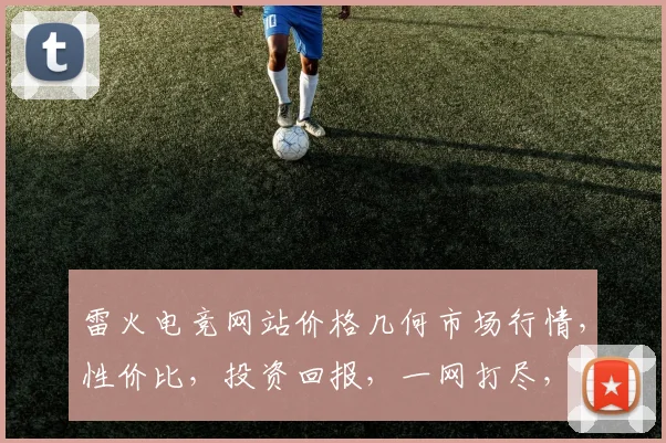 雷火电竞网站价格几何市场行情，性价比，投资回报，一网打尽，三重考量，不容错过